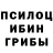 Псилоцибиновые грибы MAGIC MUSHROOMS Fester Music