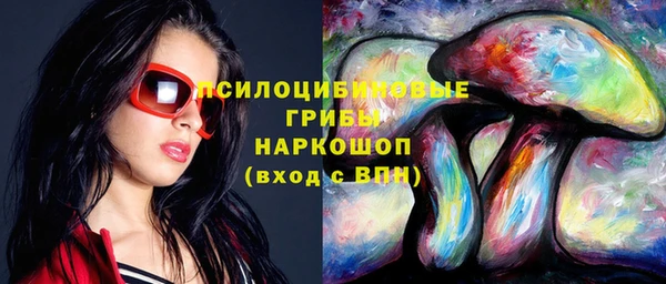 2c-b Осинники