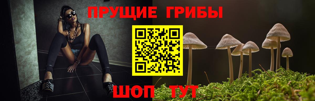 Галлюциногенные грибы Psilocybe  Вход с VPN  наркотики  Сызрань 